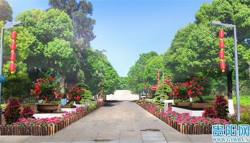 花溪公园三月精品月季展 园艺匠心铸就城市花海