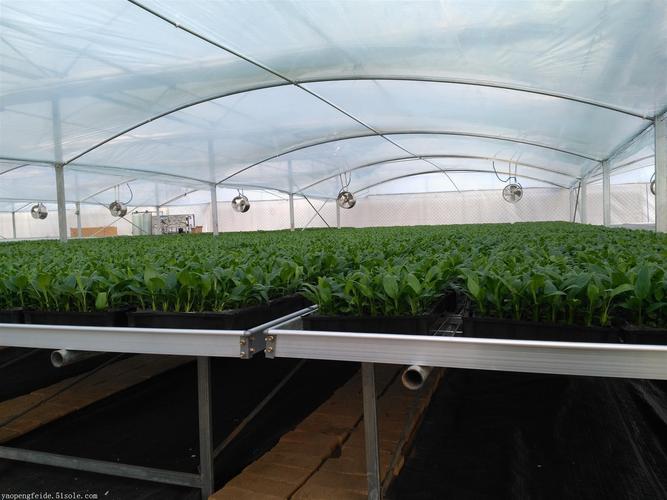 花卉种植中的纯净水处理设备 科学灌溉的关键技术